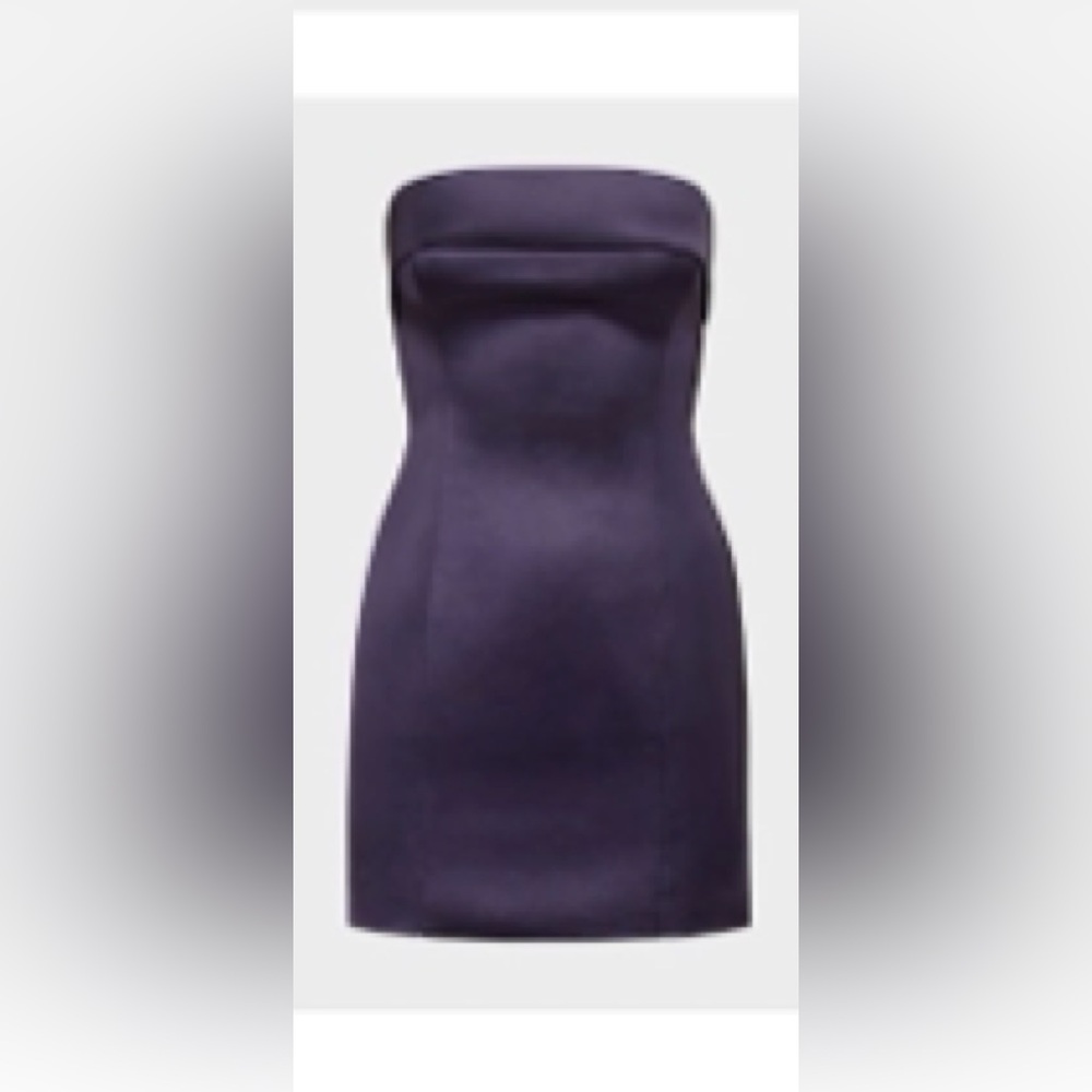 NWT Elegant Purple Shimmer Tube Women's Dress